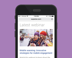 Experian – Web & UI